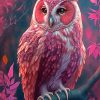 Pink Owl Paint By Numbers