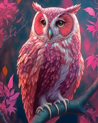 Pink Owl Paint By Numbers