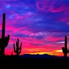 Arizona Purple Sunset Paint By Numbers