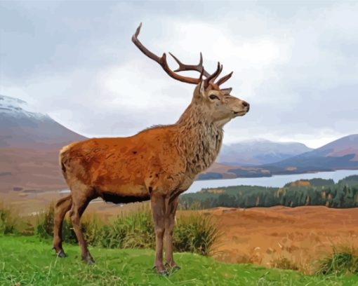 Royal Red Deer Stag On A Beach Paint By Numbers