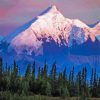 Snowy Denali Side Lake Paint By Numbers