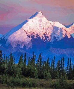 Snowy Denali Side Lake Paint By Numbers