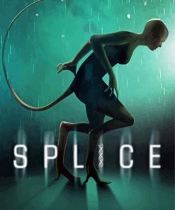 Splice Poster Paint By Numbers