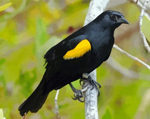 Yellow Winged Blackbird On Branch Paint By Numbers