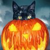 Aesthetic Halloween Cat Paint By Numbers