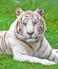 Aesthetic Albino Tiger Paint By Numbers