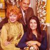 American Sitcom Here's Lucy Paint By Numbers