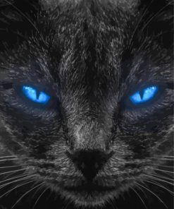 Black Cat Blue Eyes Paint By Numbers