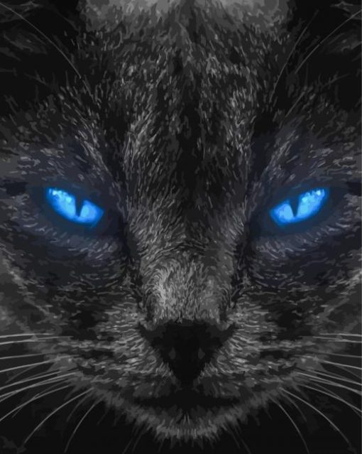 Black Cat Blue Eyes Paint By Numbers