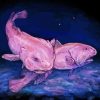 Blobfish Paint By Numbers