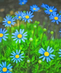 Blue Daisies Paint By Numbers