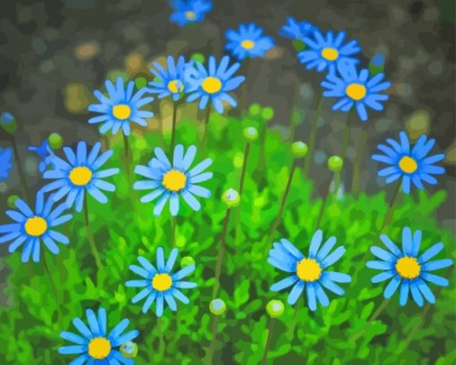 Blue Daisies Paint By Numbers