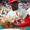 Bob Gibson Paint By Numbers