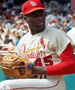 Bob Gibson Paint By Numbers