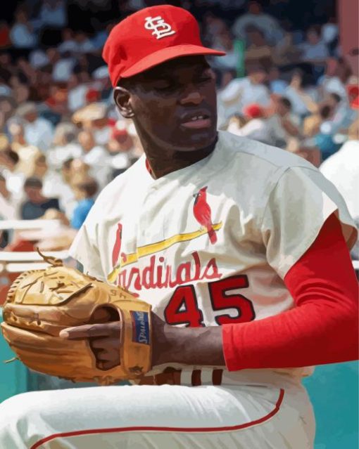 Bob Gibson Paint By Numbers