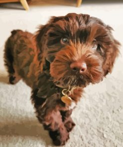 Brown Cockapoo Paint By Numbers