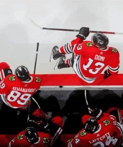 Chicago Blackhawks Ice Hockey Team Paint By Numbers