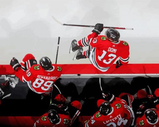 Chicago Blackhawks Ice Hockey Team Paint By Numbers