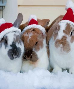 Christmas Bunnies Paint By Numbers