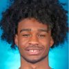 Coby White Paint By Numbers