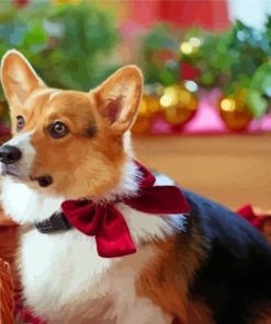 Corgi Christmas Dog Paint By Numbers