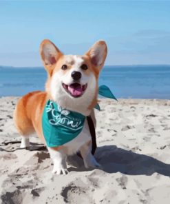 Corgi Dog On The Beach Paint By Numbers