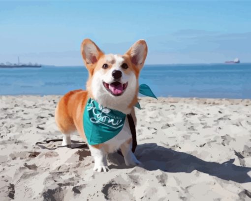 Corgi Dog On The Beach Paint By Numbers