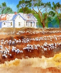 Cotton Fields Paint By Numbers