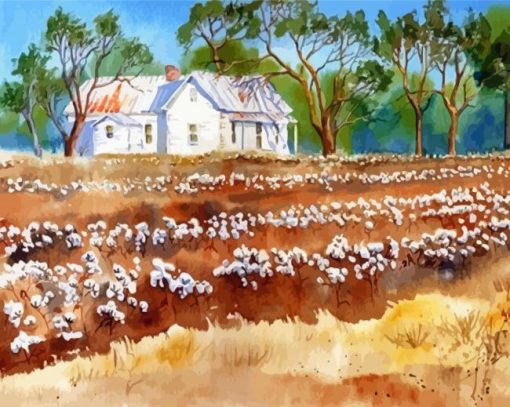 Cotton Fields Paint By Numbers