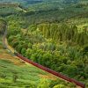 Goathland Train Landscape Paint By Numbers