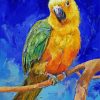 Golden Conure Paint By Numbers