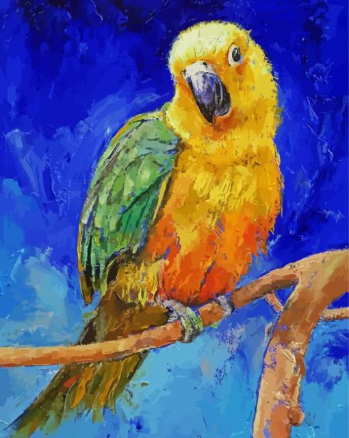 Golden Conure Paint By Numbers