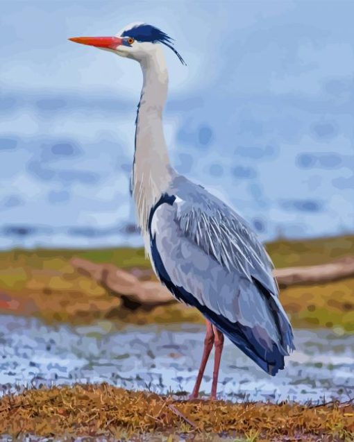 Grey Heron Birds Paint By Numbers