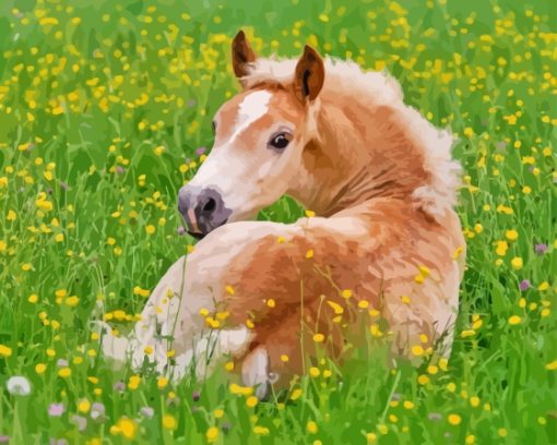 Haflinger Horse Foal Resting Paint By Numbers