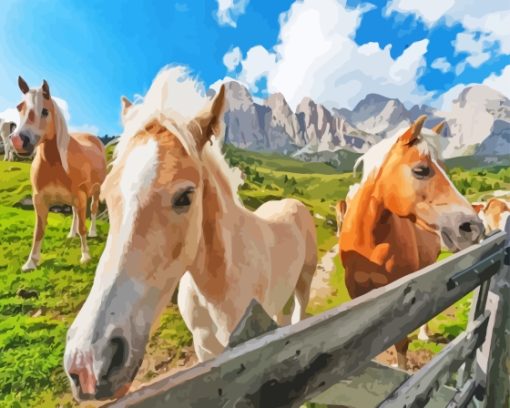 Haflinger Horse In The Farm Paint By Numbers