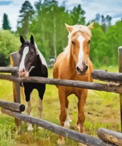 Horses Fence Paint By Numbers