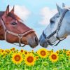 Horses In Sunflowers Paint By Numbers