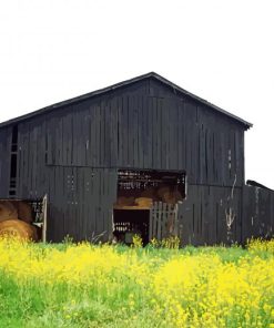 Kentucky Black Barn Paint By Numbers