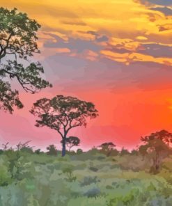 Kruger Park At Sunset Paint By Numbers