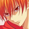 Kyo Sohma Fruits Basket Paint By Numbers