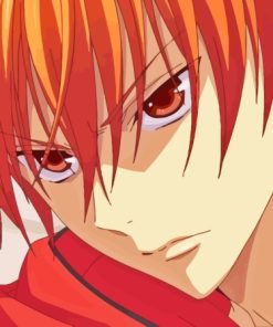 Kyo Sohma Fruits Basket Paint By Numbers