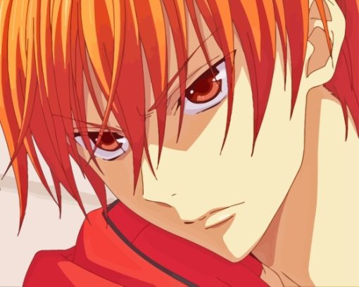 Kyo Sohma Fruits Basket Paint By Numbers