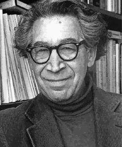 Leon Festinger Paint By Numbers