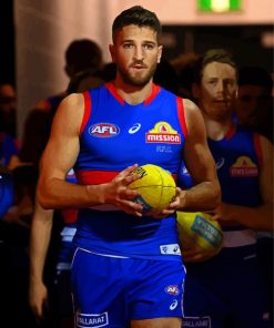 Marcus Bontempelli Western Bulldogs Player Paint By Numbers