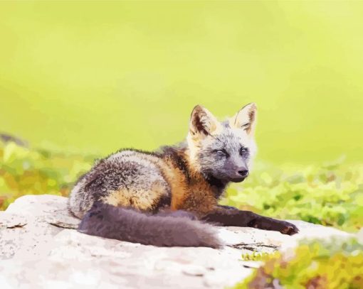 Melanistic Fox Sitting On Rock Paint By Numbers