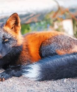 Melanistic Fox Paint By Numbers