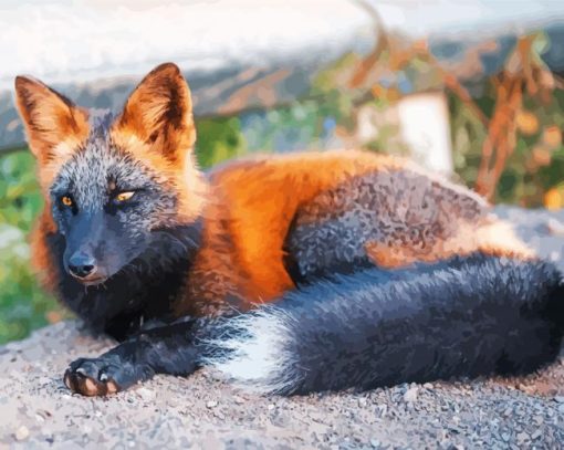 Melanistic Fox Paint By Numbers