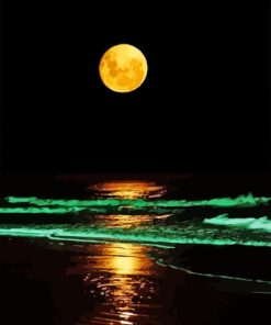 Moon Light On The Beach Paint By Numbers