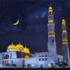 Mosque At Night Paint By Numbers