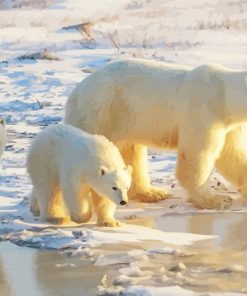 Polar Bears Mother With Cubs Paint By Numbers